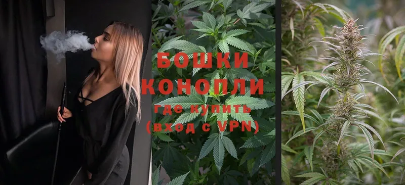 где купить   Володарск  Конопля SATIVA & INDICA 